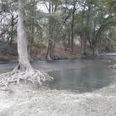 Review photo of Castroville Regional Park by Patrick H., October 25, 2020