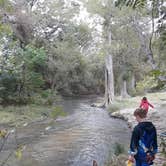 Review photo of Castroville Regional Park by Patrick H., October 25, 2020