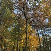 Review photo of Martinak State Park Campground by Andrew M., October 25, 2020