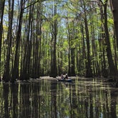 Review photo of Caddo Lake State Park Campground by Malae H., May 22, 2018