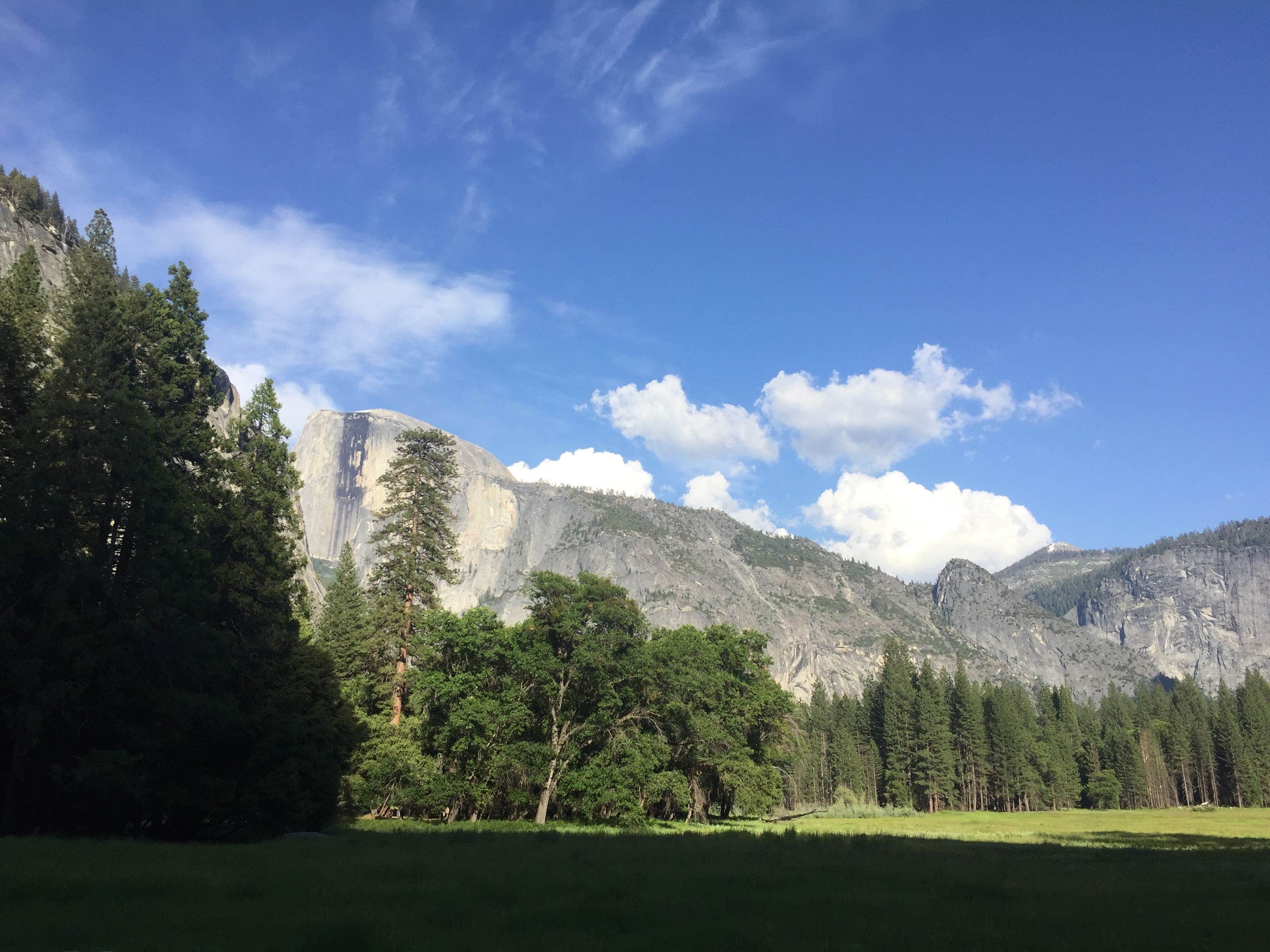 View All