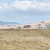 Review photo of San Simeon Creek Campground — Hearst San Simeon State Park by Suly&Fabian L., October 26, 2020