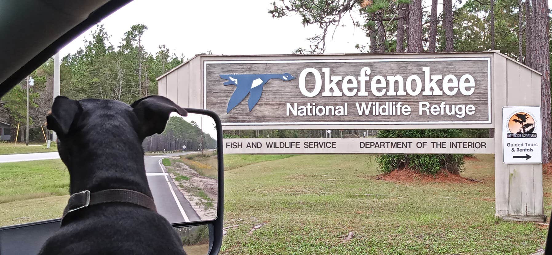 Rob D.'s photo of camping with pets at Okefenokee Pastimes Cabins and Campground near Waycross, GA
