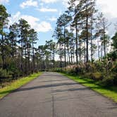 Review photo of Okefenokee Pastimes Cabins and Campground by Rob D., October 26, 2020