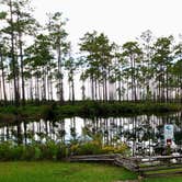 Review photo of Okefenokee Pastimes Cabins and Campground by Rob D., October 26, 2020