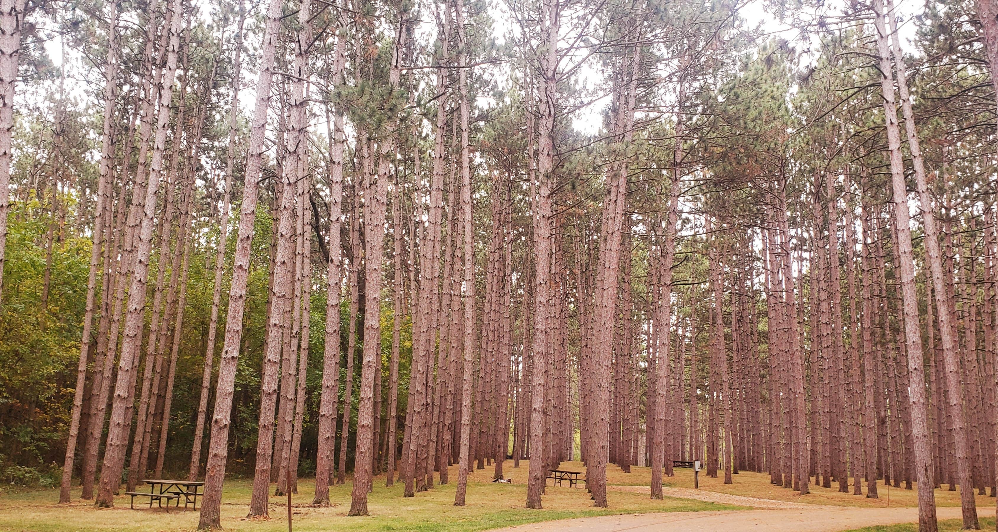 Camper-submitted photo at Chief Keokuk Campground — Johnson-Sauk Trail State Recreation Area near Dunlap, IL