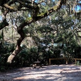 Review photo of Little Talbot Island State Park Campground by jnjewlz , October 26, 2020