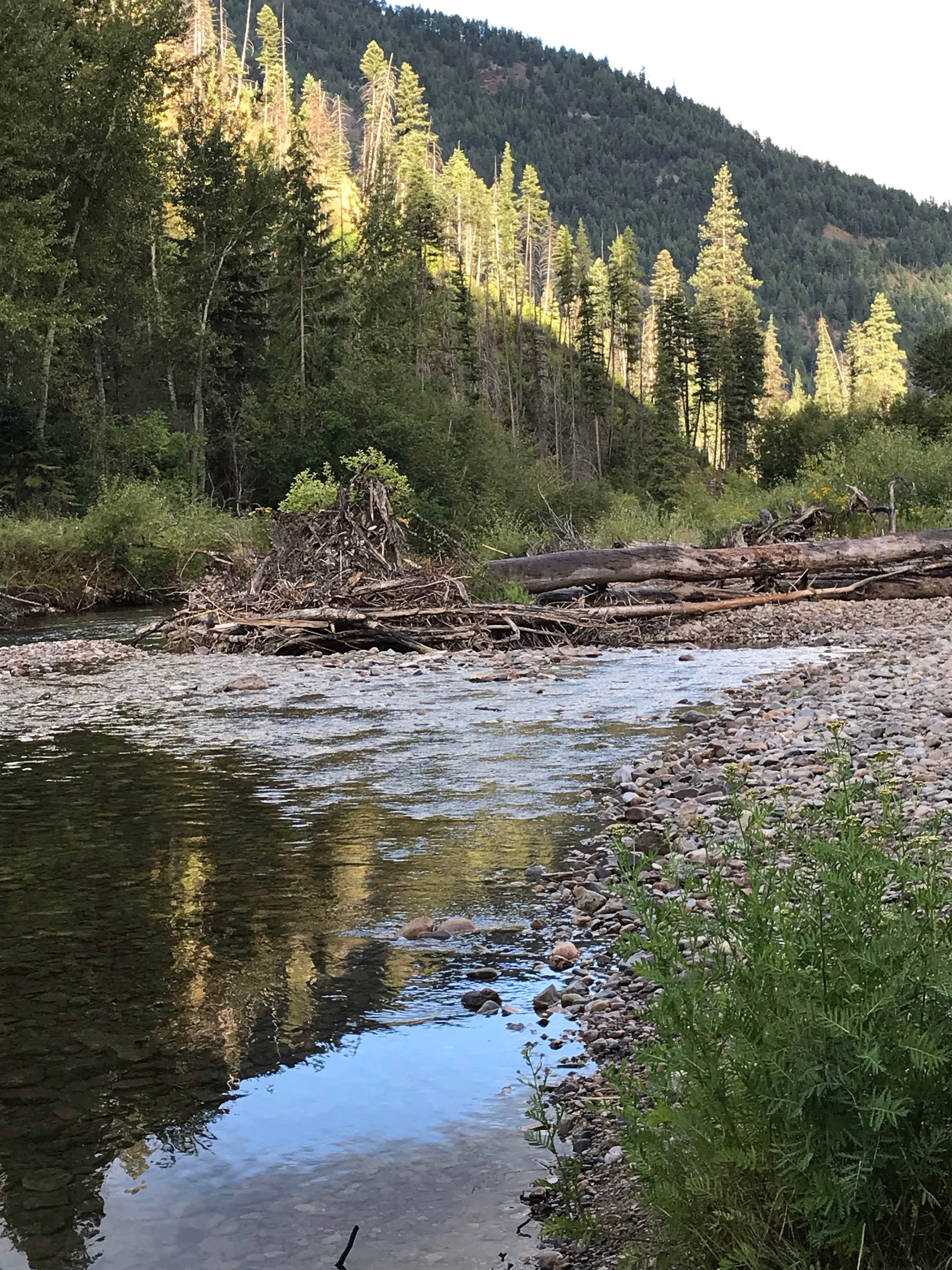 Camper-submitted photo at Lone Tree Campground near Dillon, MT