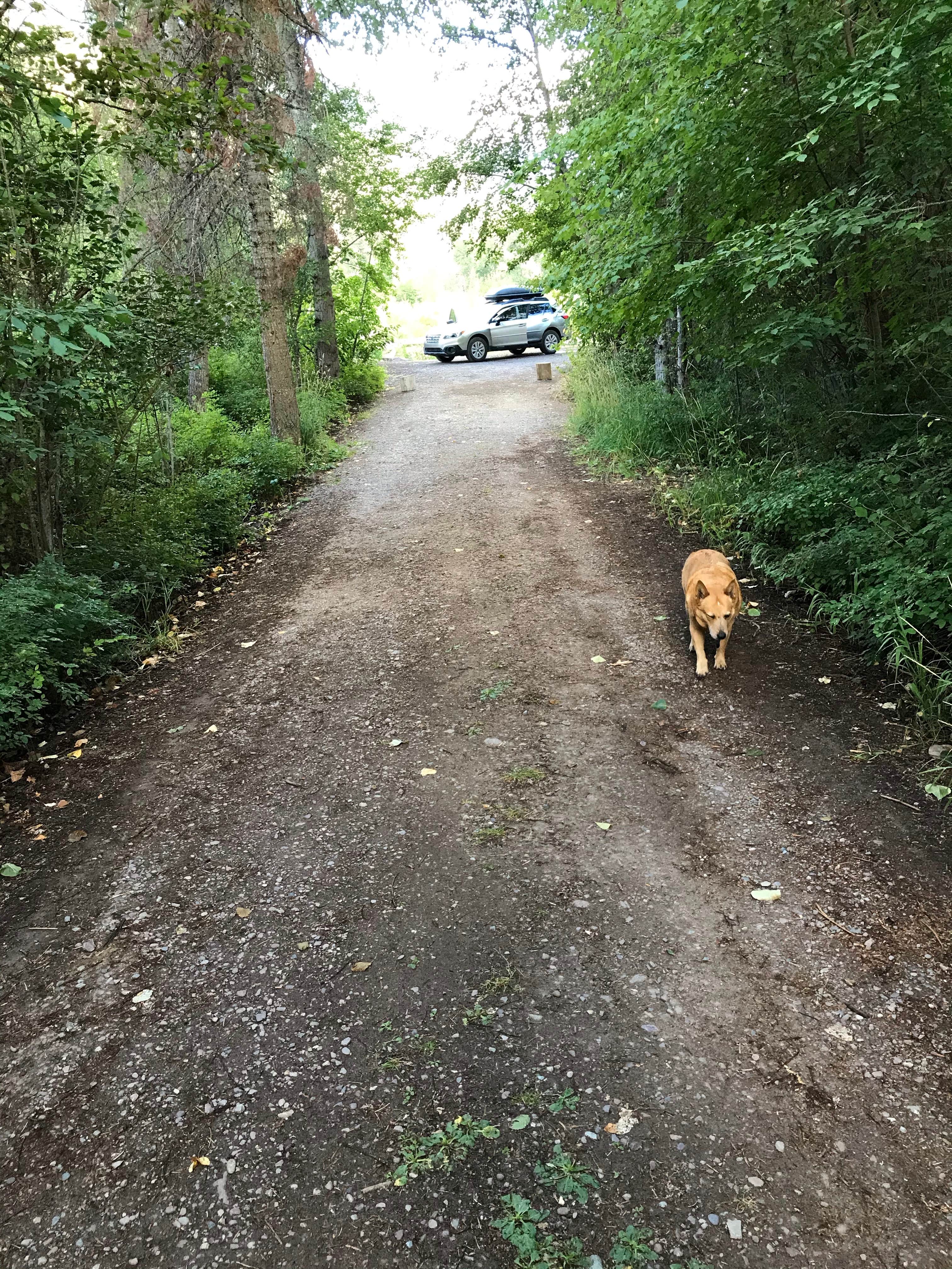 Camper-submitted photo at Lone Tree Campground near Dillon, MT