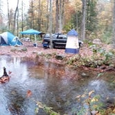 Review photo of Sourwood Campground by Victor S., October 26, 2020