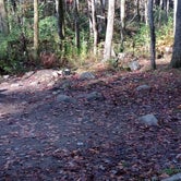 Review photo of Sourwood Campground by Victor S., October 26, 2020