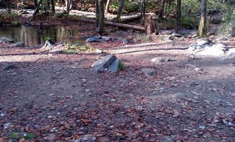 Camping near Calderwood Lake Primitive campground: Sourwood Campground, Coker Creek, Tennessee