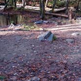 Review photo of Sourwood Campground by Victor S., October 26, 2020