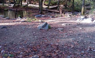 Victor S.'s photo at Sourwood Campground near Tusquitee National Forest