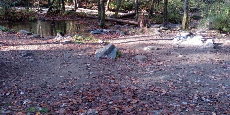 Camper submitted image from Sourwood Campground