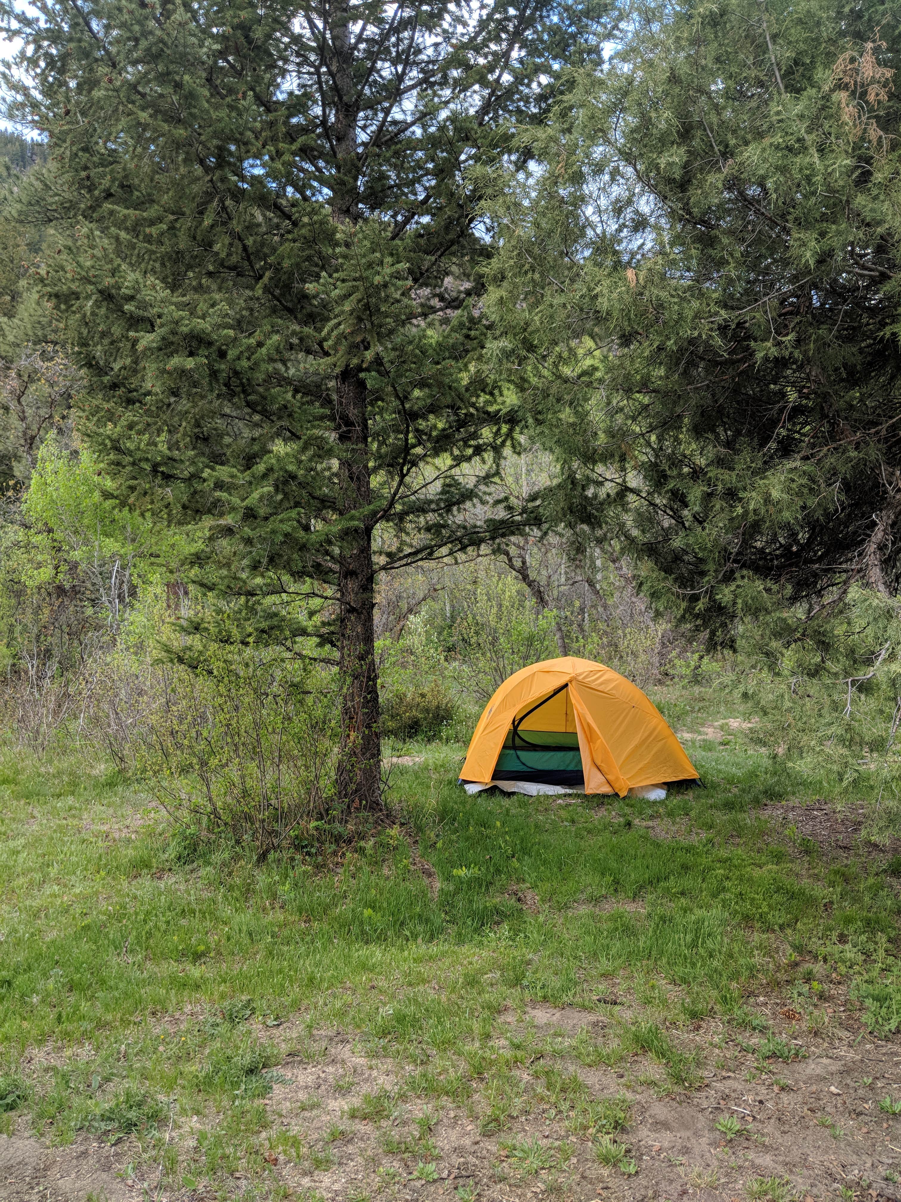 Dan F.'s photo at Difficult Campground near Snowmass Village, CO