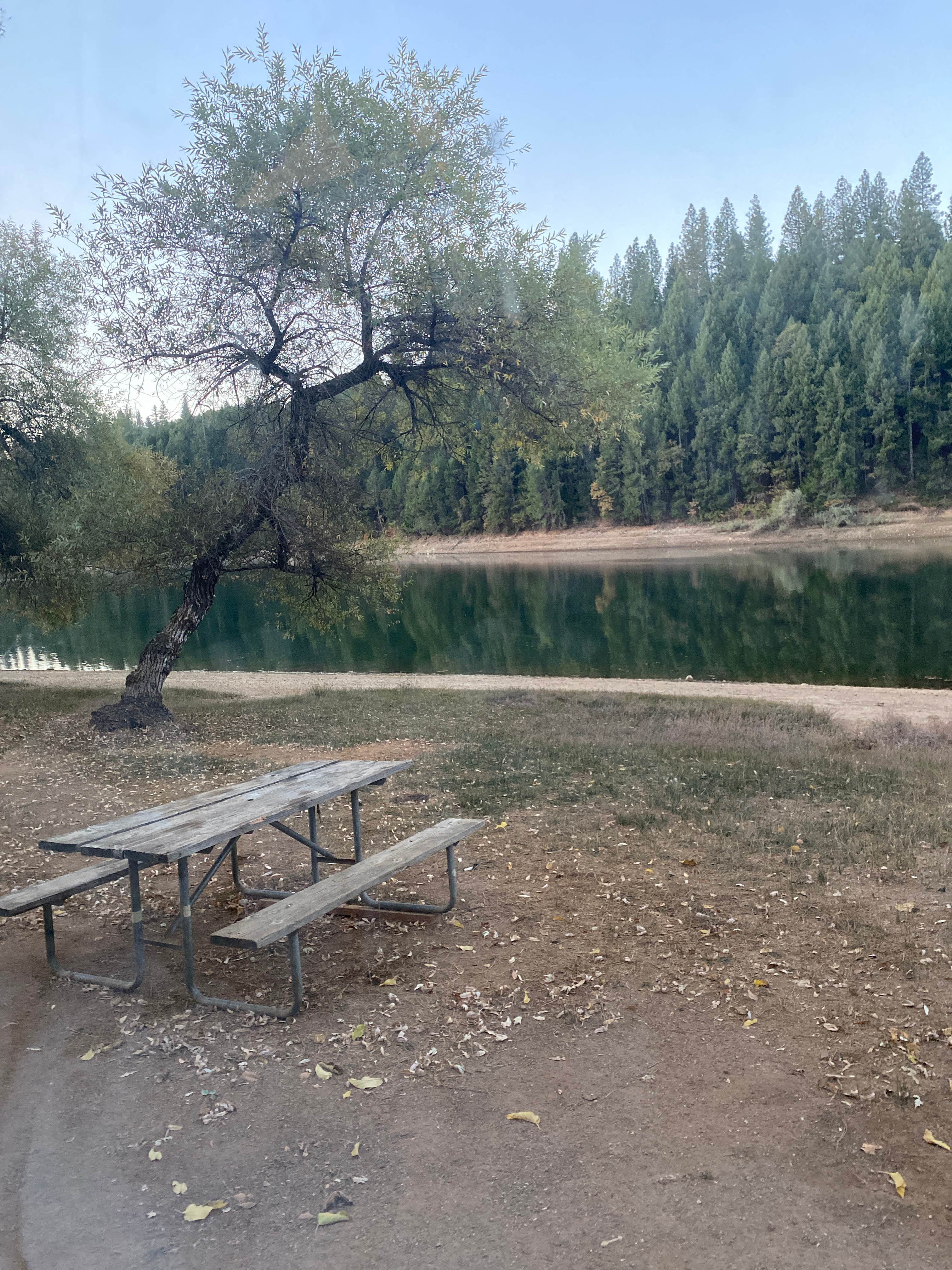 Camper-submitted photo at Greenhorn Campground near Gold Run, CA