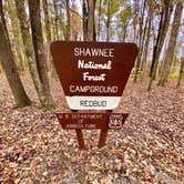 Review photo of Redbud Campground at Bell Smith Springs by John , October 26, 2020