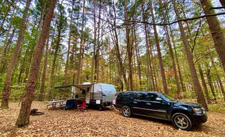 John's photo at Redbud Campground at Bell Smith Springs near Junction, IL