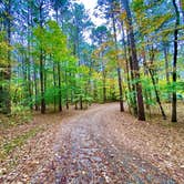 Review photo of Redbud Campground at Bell Smith Springs by John , October 26, 2020