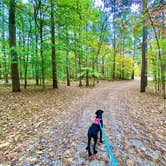 Review photo of Redbud Campground at Bell Smith Springs by John , October 26, 2020