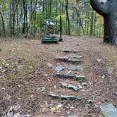 Review photo of Redbud Campground at Bell Smith Springs by John , October 26, 2020