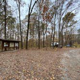 Review photo of Redbud Campground at Bell Smith Springs by John , October 26, 2020