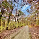 Review photo of Redbud Campground at Bell Smith Springs by John , October 26, 2020