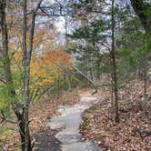 Review photo of Redbud Campground at Bell Smith Springs by John , October 26, 2020