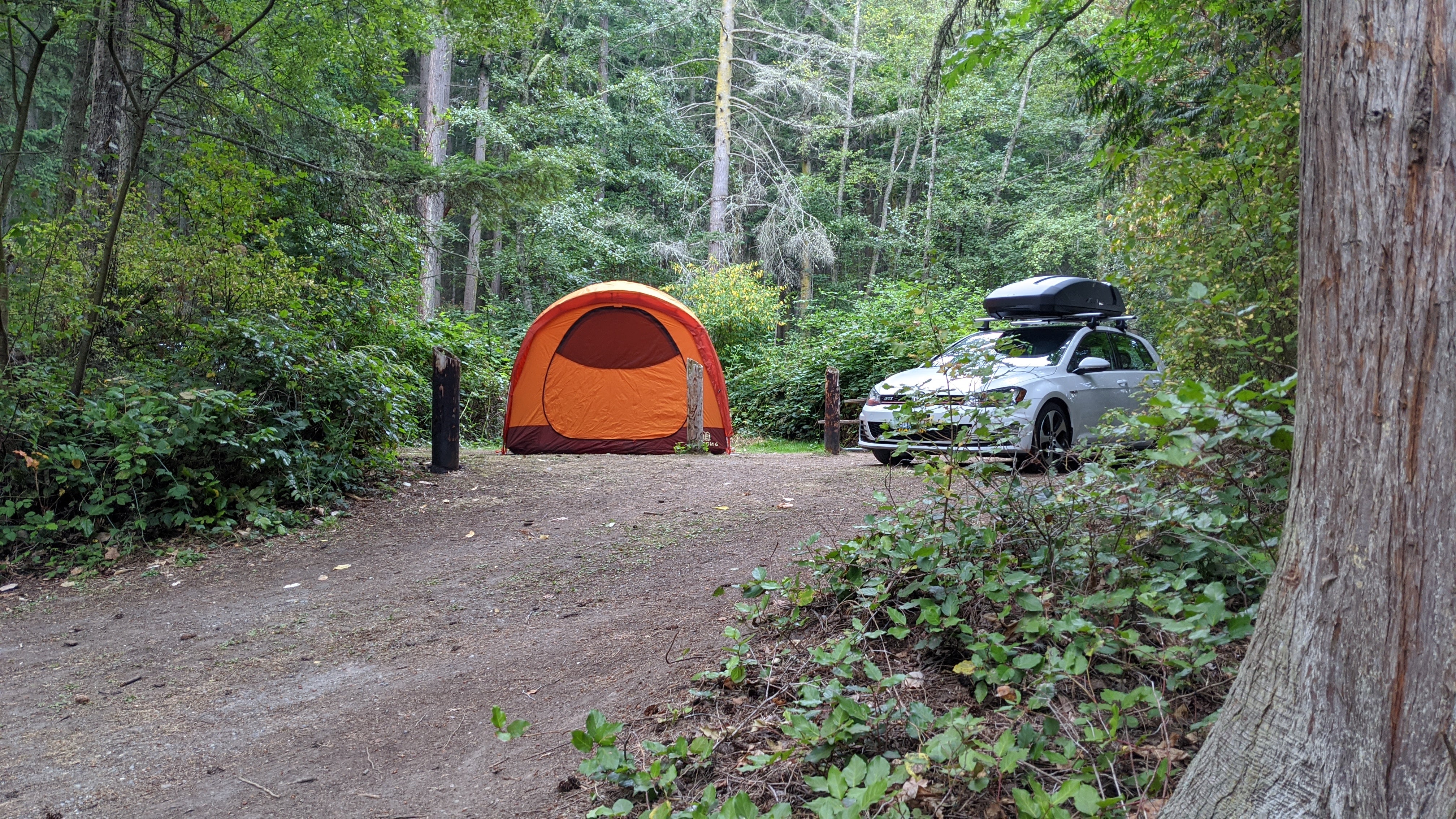 Camper submitted image from Camano Island State Park Campground - 5