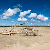 Review photo of Edisto Beach State Park Campground by Kevin A., October 26, 2020