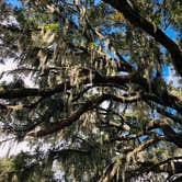 Review photo of Edisto Beach State Park Campground by Kevin A., October 26, 2020