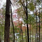 Review photo of Red Top Mountain State Park Campground by Jen M., October 26, 2020