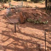 Review photo of South Campground — Zion National Park by Caleb C., October 26, 2020