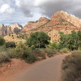 Review photo of South Campground — Zion National Park by Caleb C., October 26, 2020