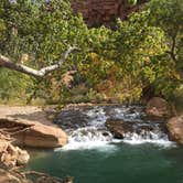 Review photo of South Campground — Zion National Park by Caleb C., October 26, 2020