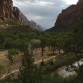 Review photo of South Campground — Zion National Park by Caleb C., October 26, 2020