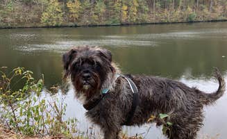 Taylor D.'s photo of camping with pets at Catherine's Landing near Hot Springs National Park, AR