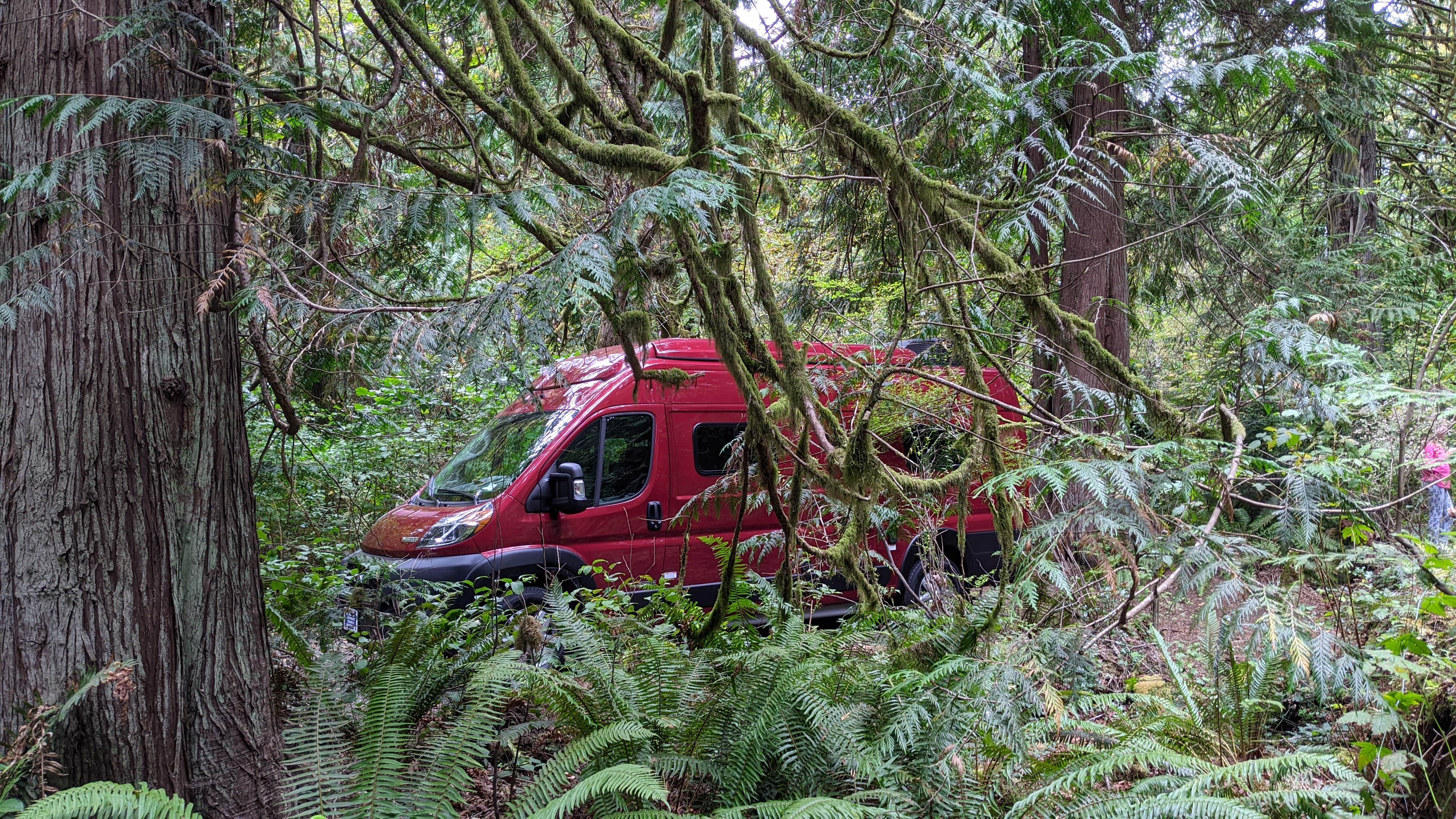 Camper-submitted photo at Penrose Point State Park Campground near Puyallup, WA
