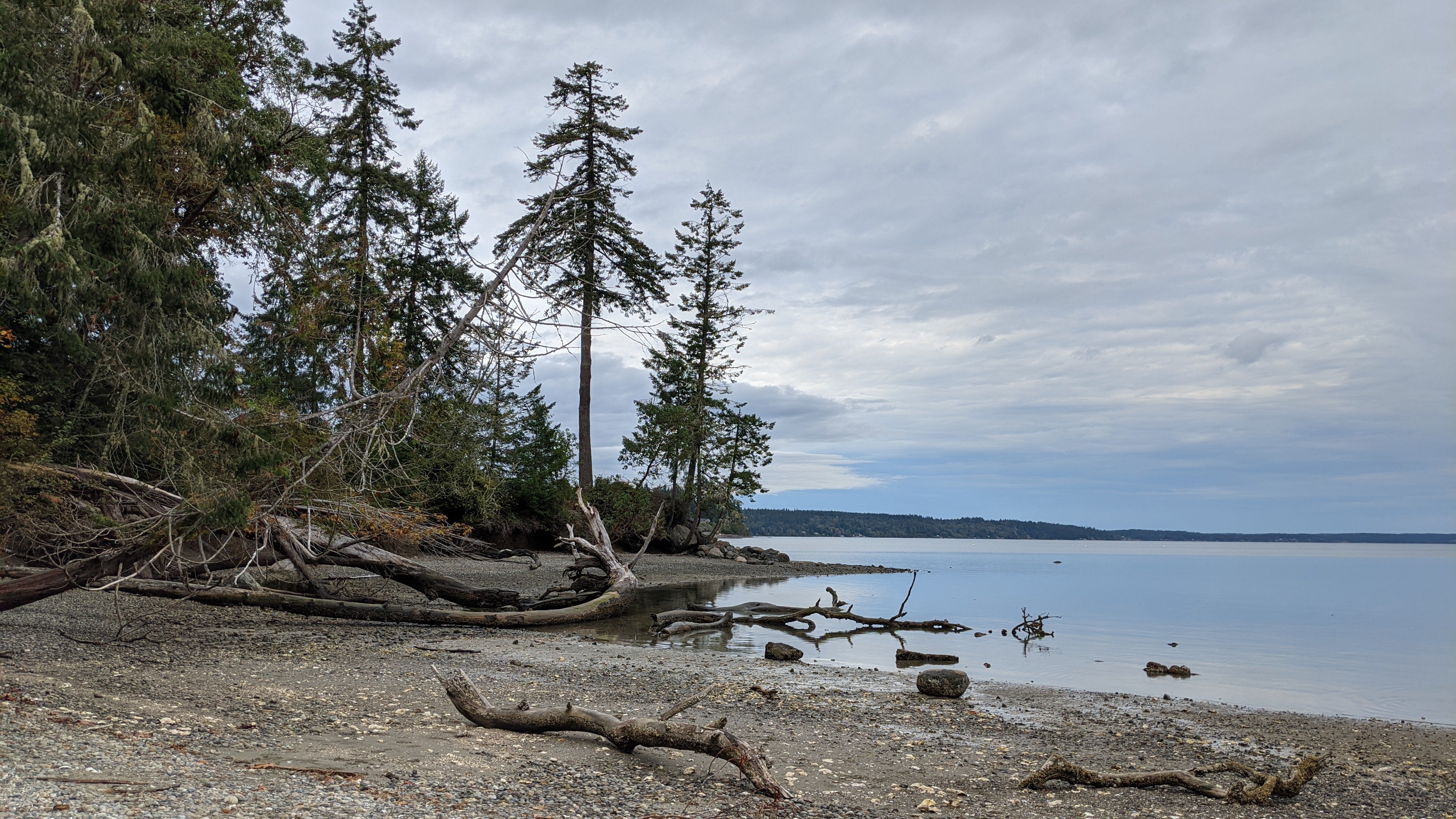 Camper submitted image from Penrose Point State Park - 1