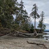 Review photo of Penrose Point State Park Campground by Rachel , October 26, 2020