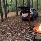 Review photo of Andrew's Cove Campground — Chattahoochee Oconee National Forest by Brett S., October 26, 2020