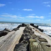 Review photo of Edisto Beach State Park Campground by Kevin A., October 26, 2020