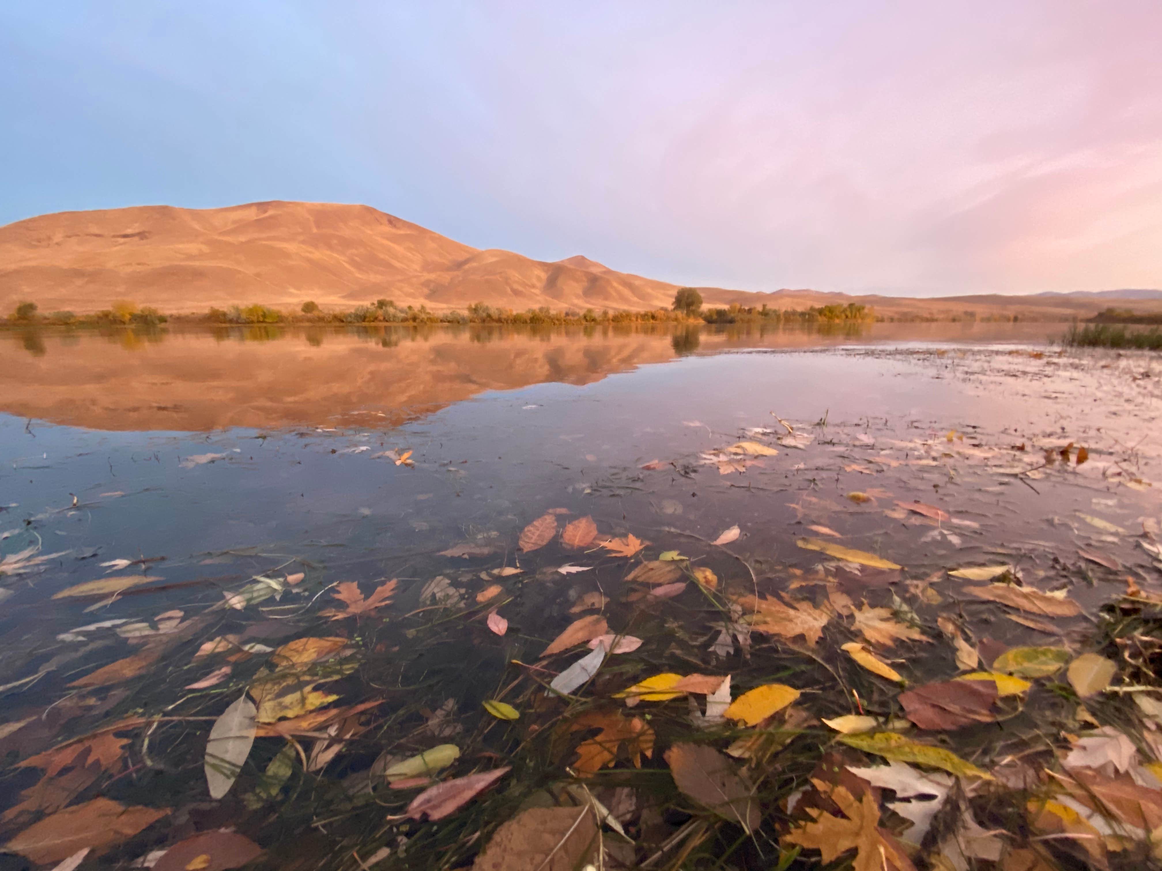 Camping near Steck Park: Oasis Recreation Site, Weiser, Oregon