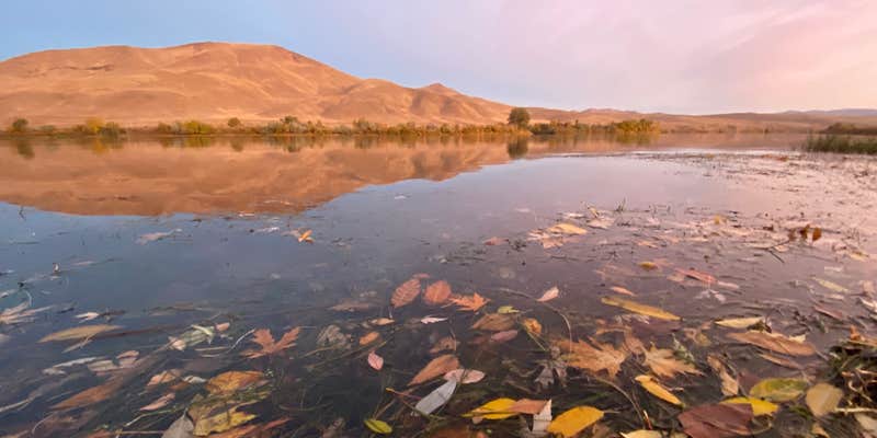 Camper submitted image from Oasis Recreation Site