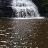 Review photo of Swallow Falls State Park Campground by Dale O., May 22, 2018