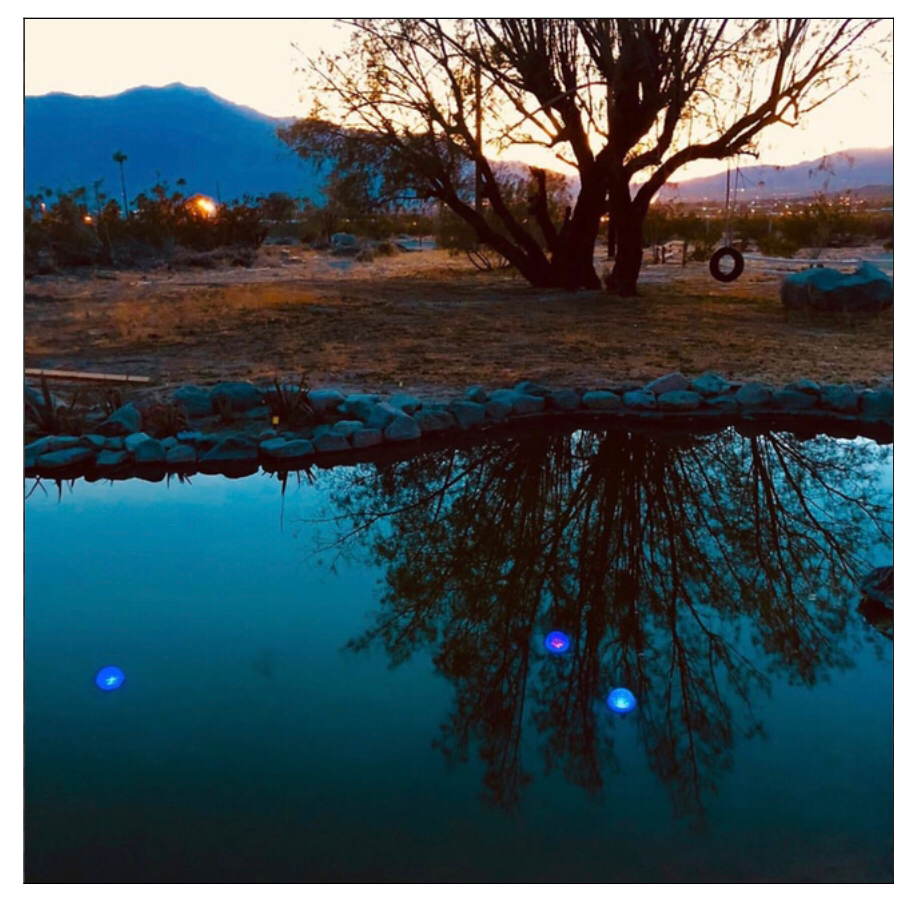 Camper-submitted photo at Rancho Capotista near Bermuda Dunes, CA