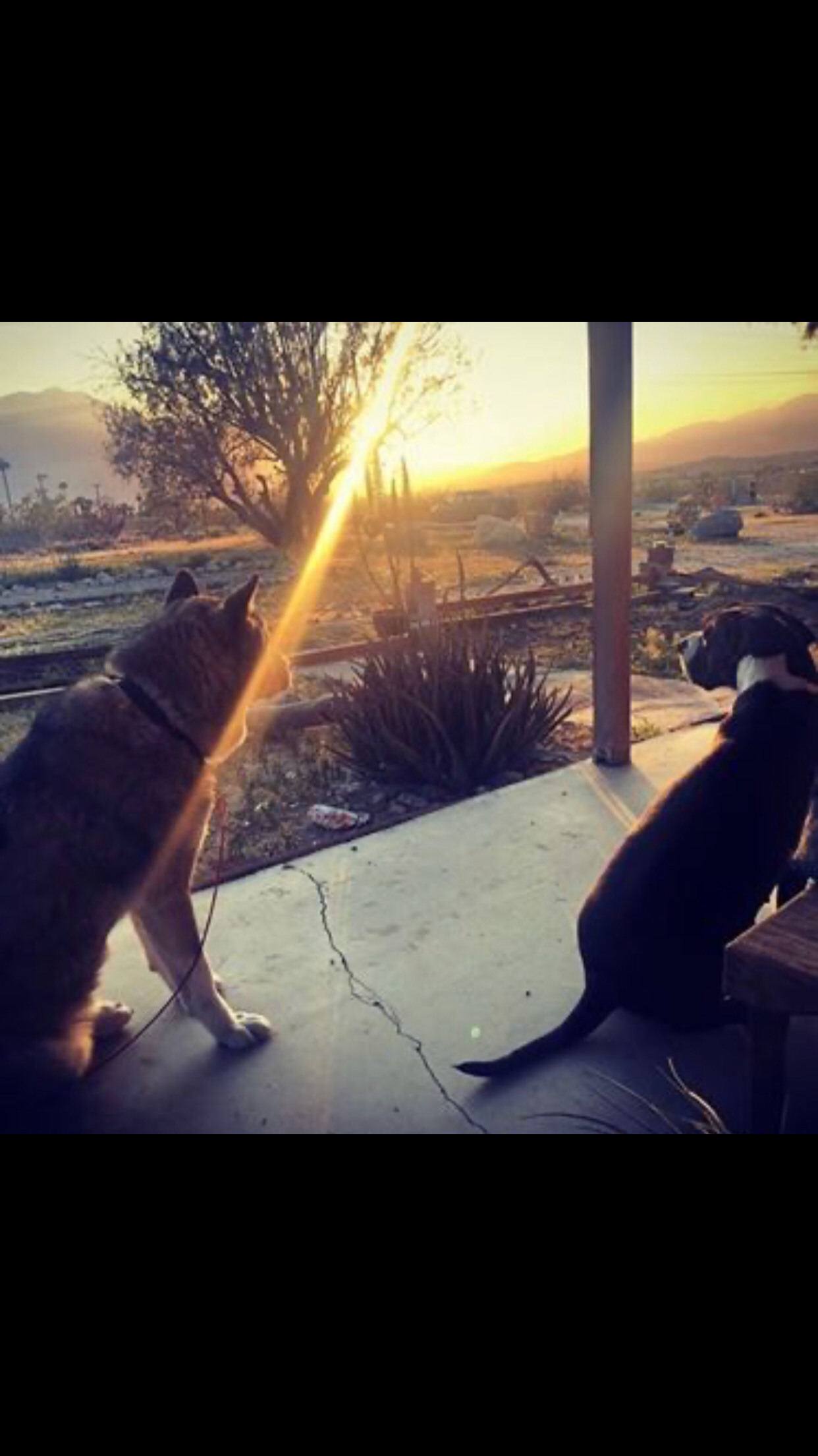 Camper-submitted photo at Rancho Capotista near Bermuda Dunes, CA