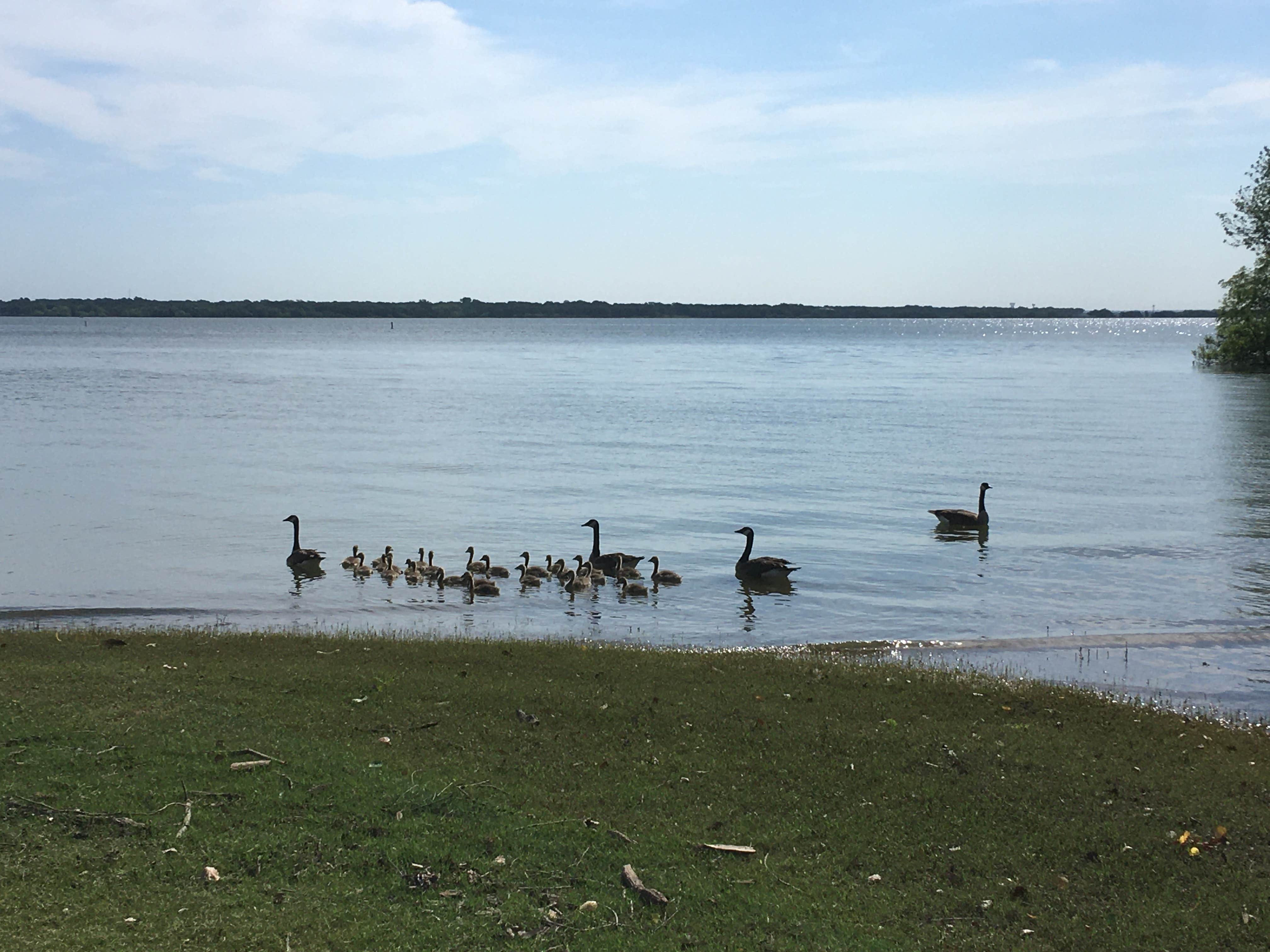 Camper submitted image from Willow Grove Park - 4