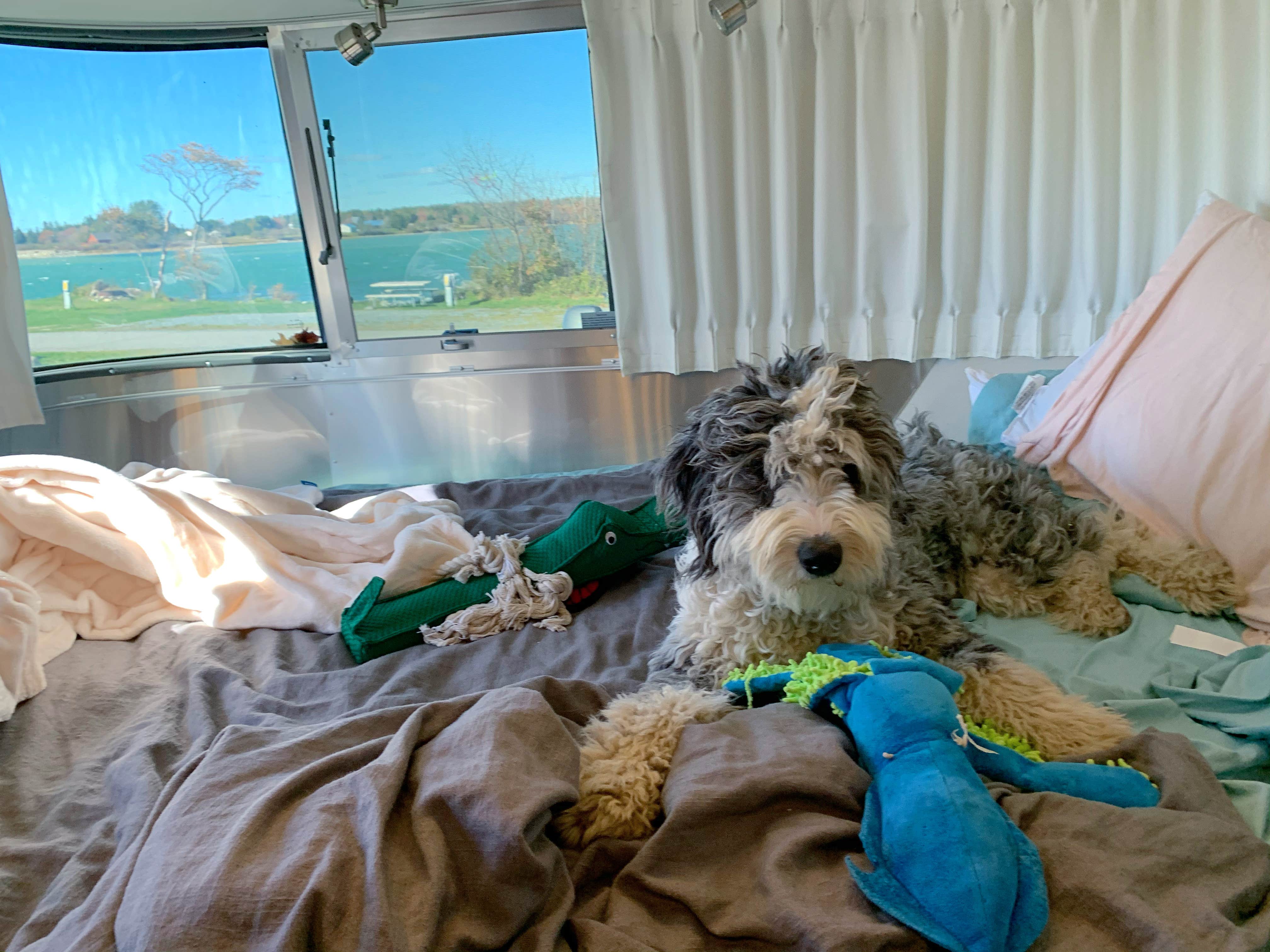 Ilana F.'s photo of glamping accommodations at Bar Harbor/Oceanside KOA near Blue Hill, ME